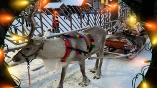 s_weihnachten 25 Siegert KFZ-Sachverst&auml;ndigenb&uuml;ro - Aktuelles